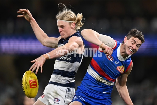 AFL 2024 Round 19 - Geelong v Western Bulldogs - A-52012245