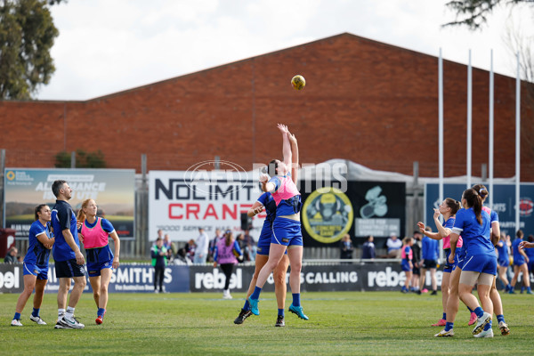 VFLW 2024 Grand Final - North Melbourne v Western Bulldogs - A-52012259