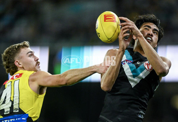 AFL 2024 Round 19 - Port Adelaide v Richmond - A-52013084