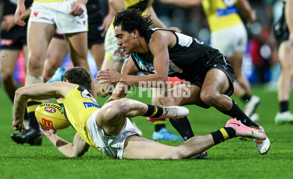 AFL 2024 Round 19 - Port Adelaide v Richmond - A-52013095