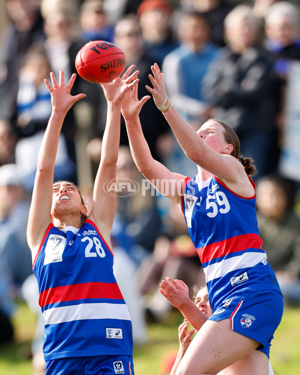 VFLW 2024 Grand Final - North Melbourne v Western Bulldogs - A-52015082