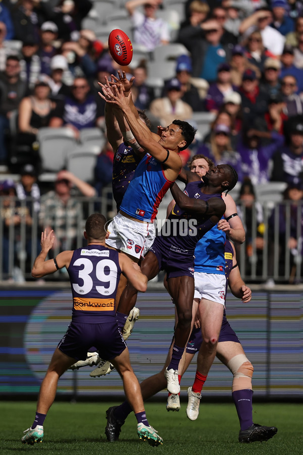 AFL 2024 Round 19 - Fremantle v Melbourne - A-52025764