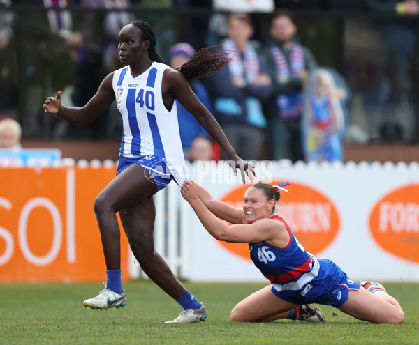 VFLW 2024 Grand Final - North Melbourne v Western Bulldogs - A-52042309