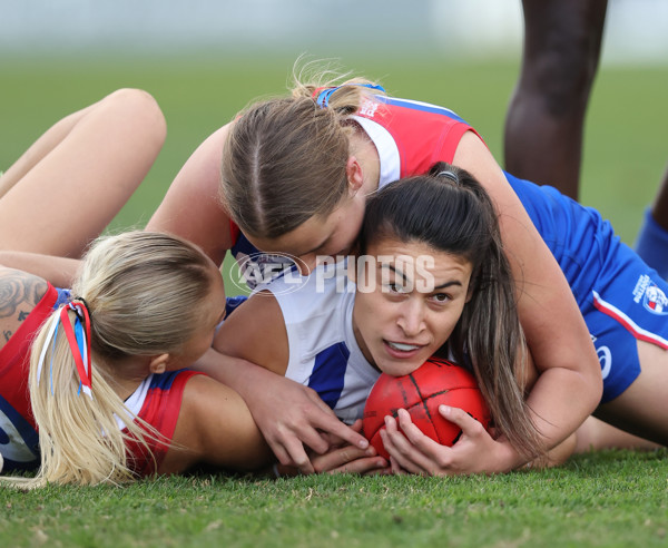 VFLW 2024 Grand Final - North Melbourne v Western Bulldogs - A-52042317