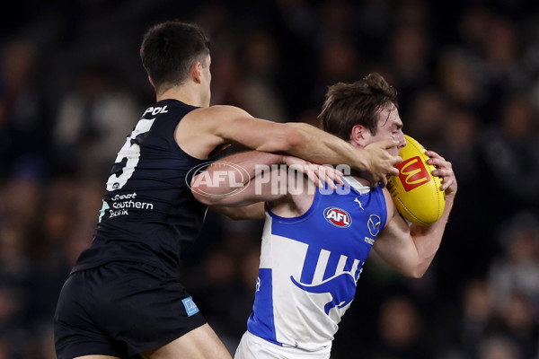 AFL 2024 Round 19 - Carlton v North Melbourne - A-52042346