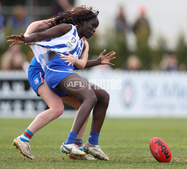 VFLW 2024 Grand Final - North Melbourne v Western Bulldogs - A-52046962