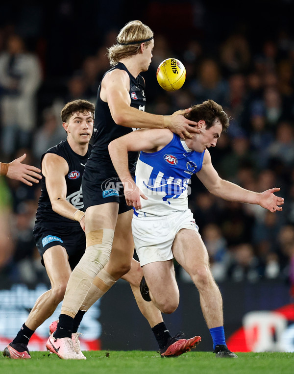 AFL 2024 Round 19 - Carlton v North Melbourne - A-52052750