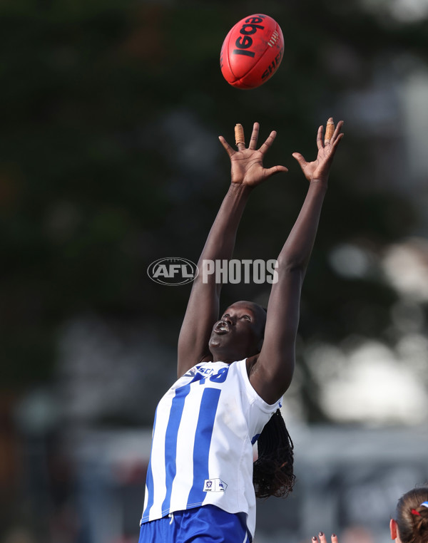 VFLW 2024 Grand Final - North Melbourne v Western Bulldogs - A-52055501