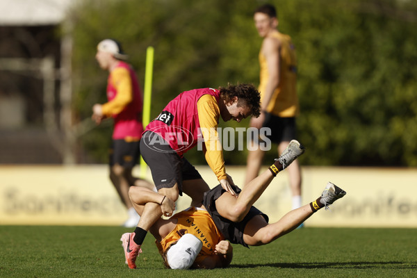 AFL 2023 Training - Hawthorn 230724 - A-52070094