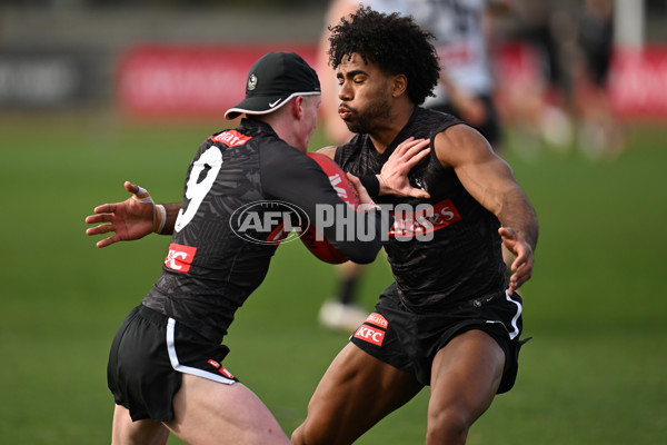 AFL 2024 Training - Collingwood 240724 - A-52074176