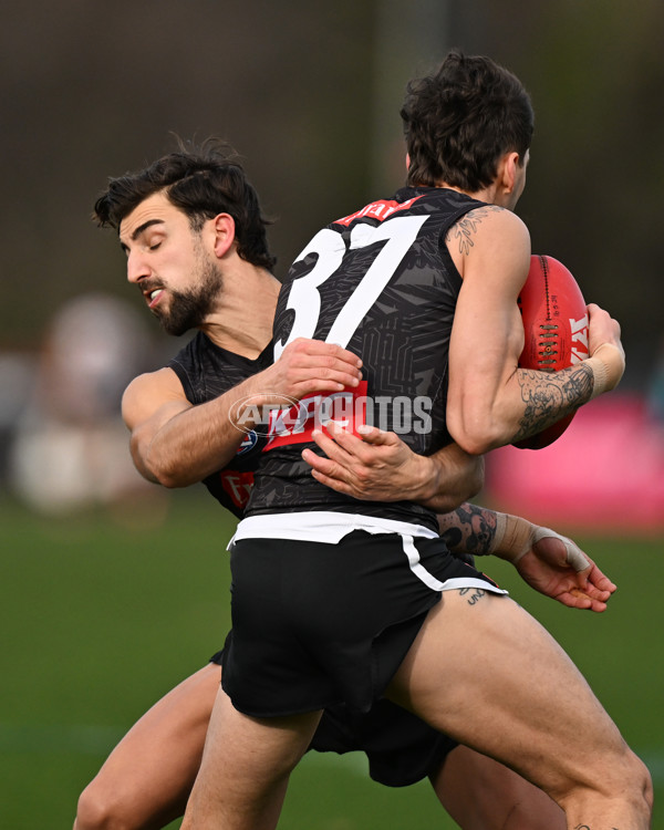 AFL 2024 Training - Collingwood 240724 - A-52093743