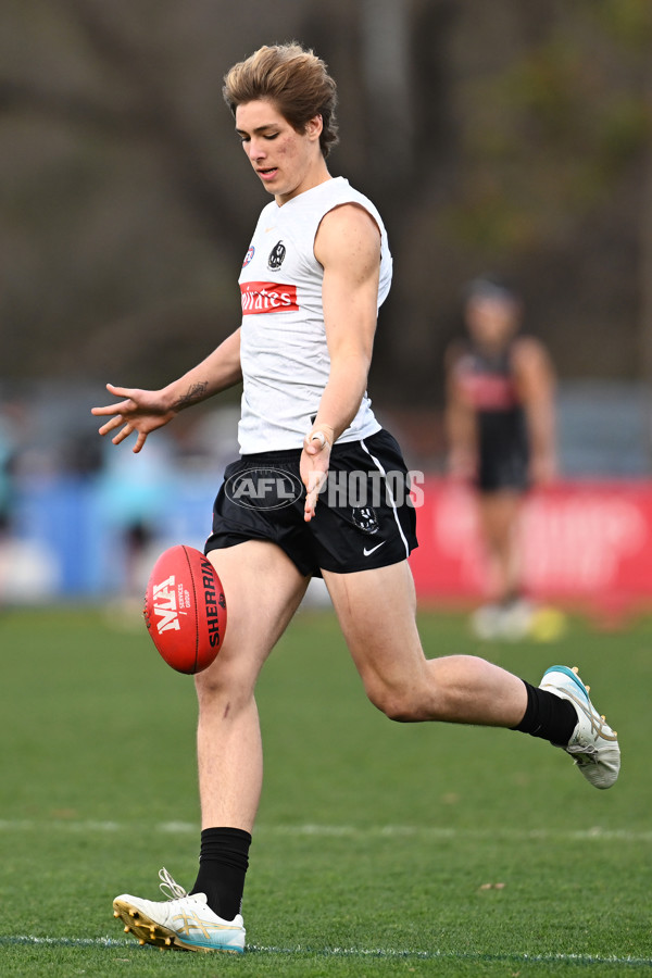 AFL 2024 Training - Collingwood 240724 - A-52097661