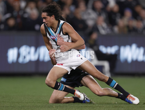AFL 2024 Round 20 - Carlton v Port Adelaide - A-52161711