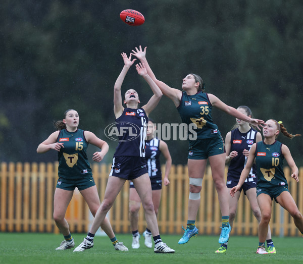 Coates League Girls 2024 - Geelong v Tasmania - A-52171125