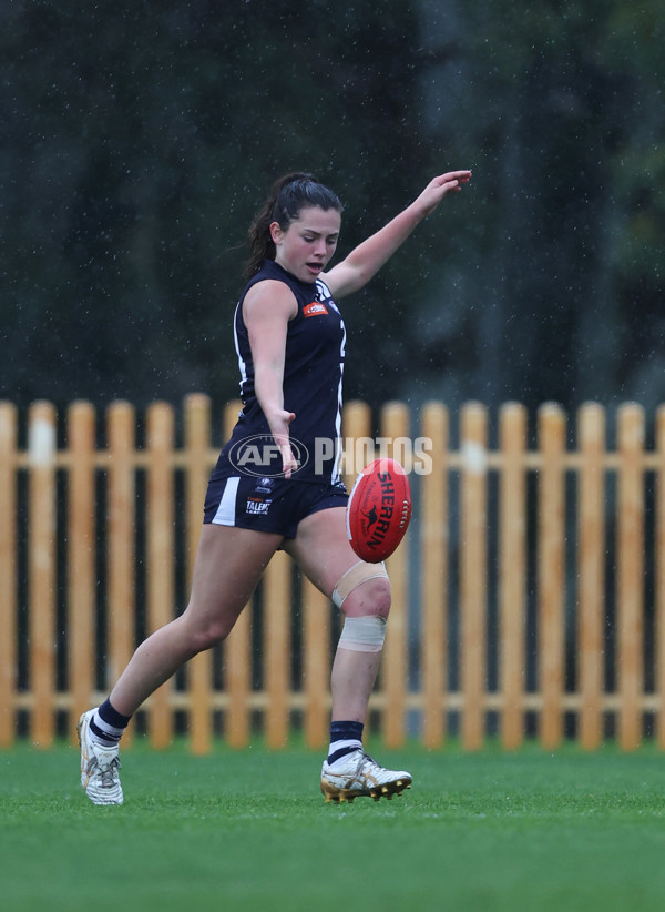 Coates League Girls 2024 - Geelong v Tasmania - A-52173235