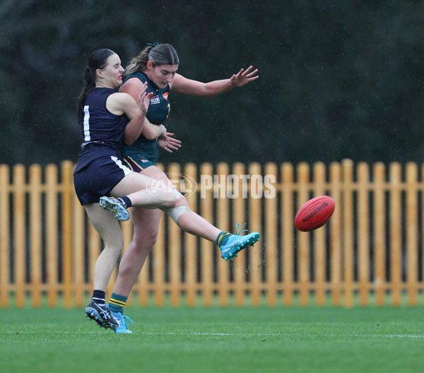 Coates League Girls 2024 - Geelong v Tasmania - A-52173236