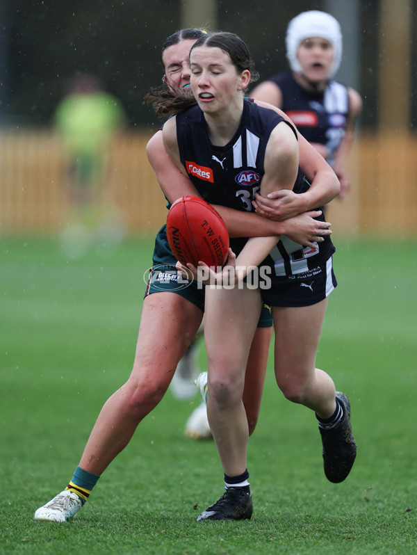 Coates League Girls 2024 - Geelong v Tasmania - A-52173240