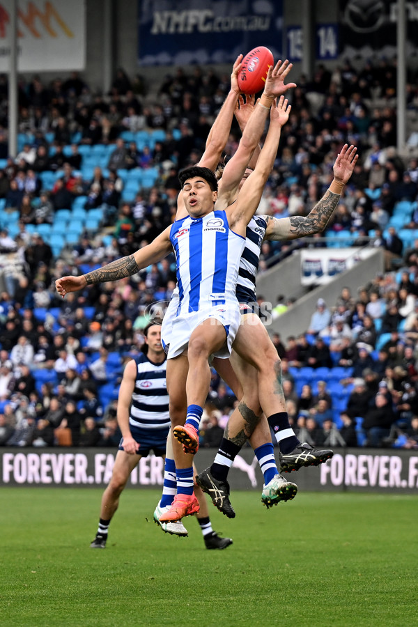 AFL 2024 Round 20 - North Melbourne v Geelong - A-52173829