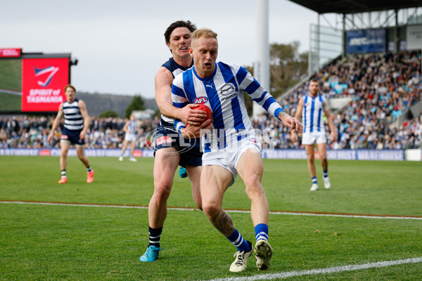 AFL 2024 Round 20 - North Melbourne v Geelong - A-52173843