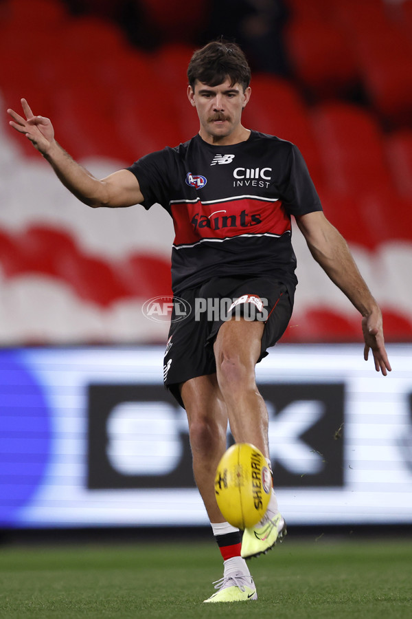 AFL 2024 Round 20 - St Kilda v Essendon - A-52176529