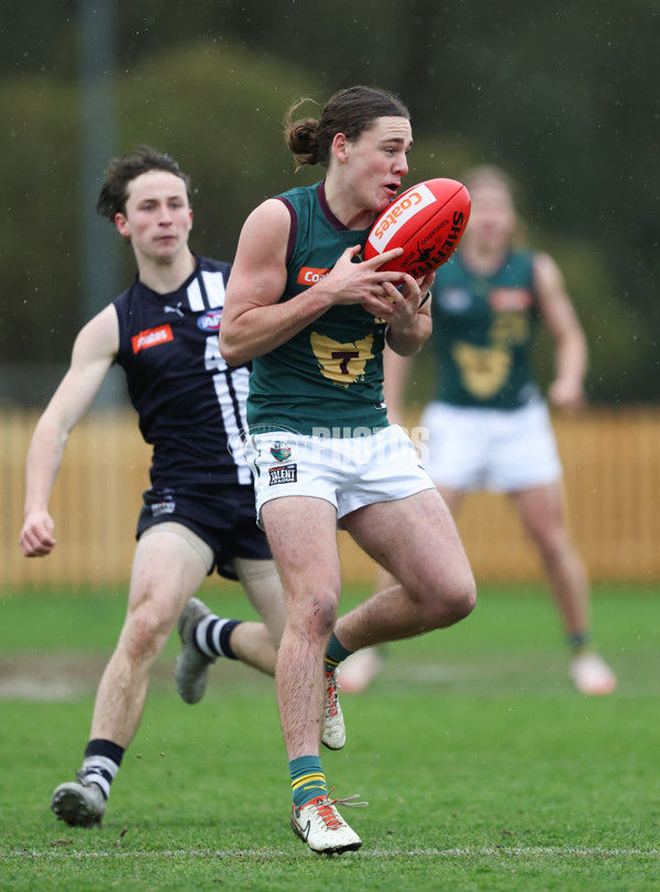 Coates League Boys 2024 - Geelong v Tasmania - A-52182839