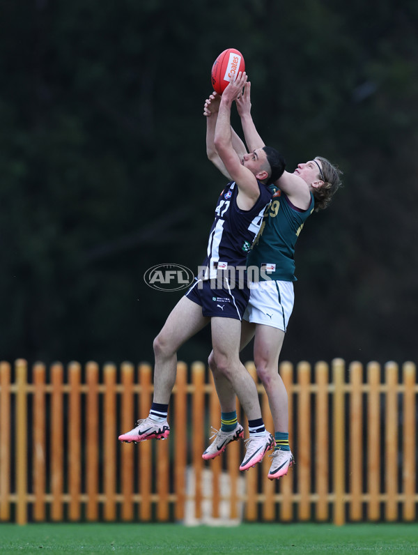 Coates League Boys 2024 - Geelong v Tasmania - A-52188899