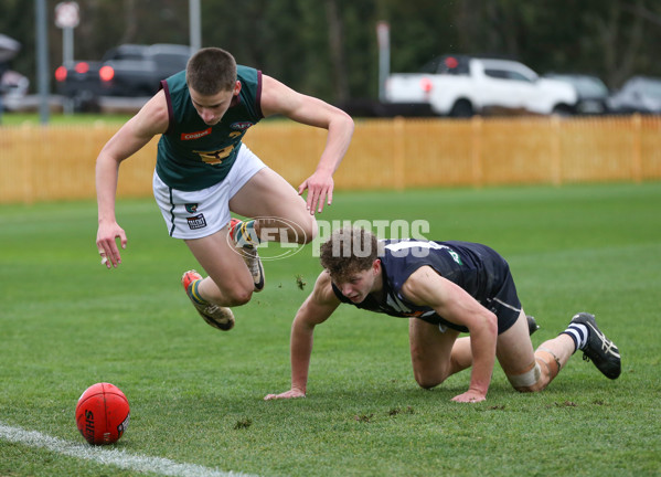 Coates League Boys 2024 - Geelong v Tasmania - A-52188902