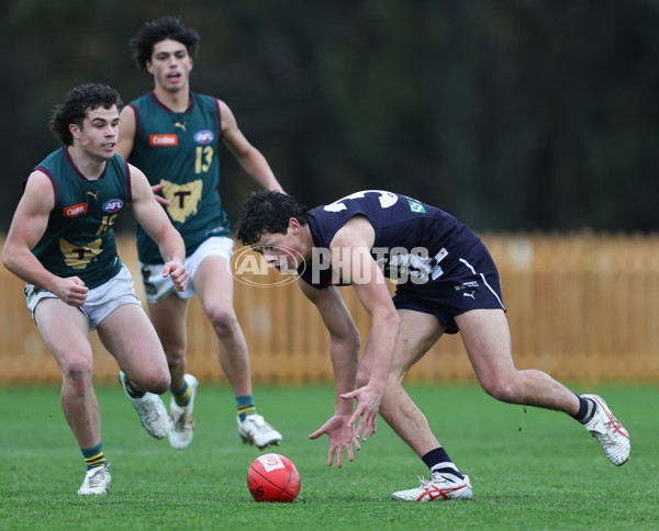 Coates League Boys 2024 - Geelong v Tasmania - A-52188908