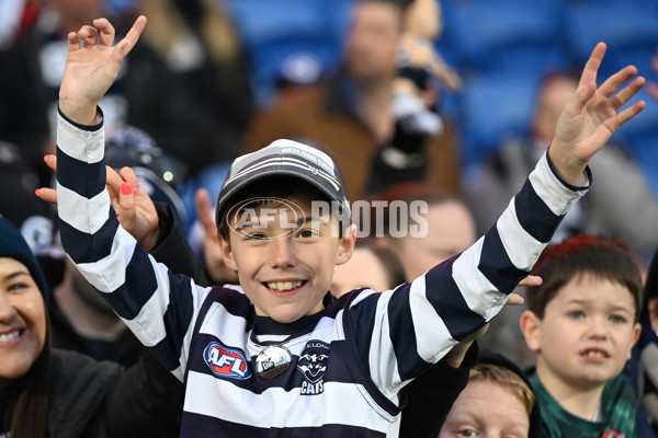 AFL 2024 Round 20 - North Melbourne v Geelong - A-52195198