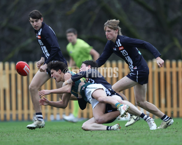 Coates League Boys 2024 - Geelong v Tasmania - A-52198365