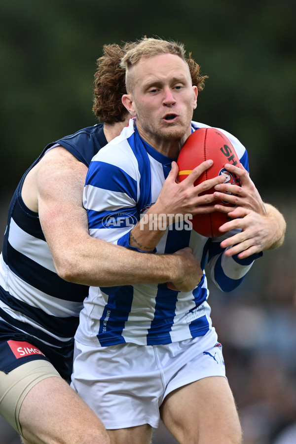 AFL 2024 Round 20 - North Melbourne v Geelong - A-52198379