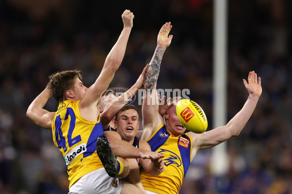 AFL 2024 Round 20 - Fremantle v West Coast - A-52206771