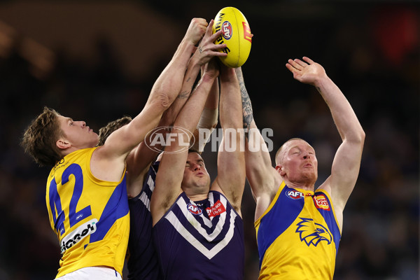 AFL 2024 Round 20 - Fremantle v West Coast - A-52206780