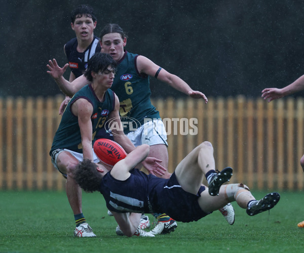 Coates League Boys 2024 - Geelong v Tasmania - A-52206955