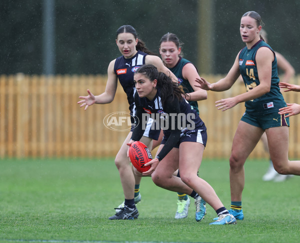 Coates League Girls 2024 - Geelong v Tasmania - A-52215688