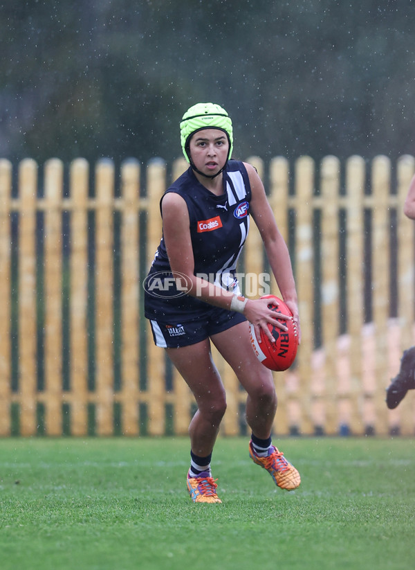 Coates League Girls 2024 - Geelong v Tasmania - A-52215690