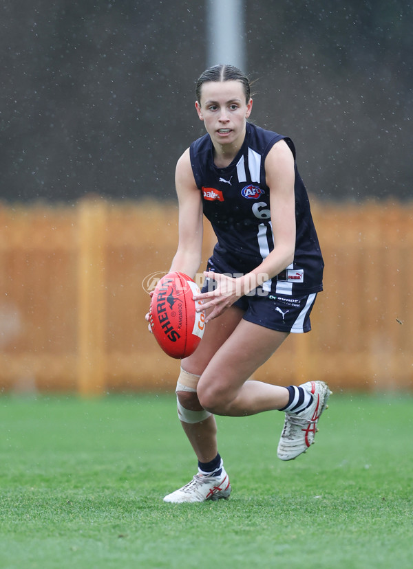 Coates League Girls 2024 - Geelong v Tasmania - A-52215692