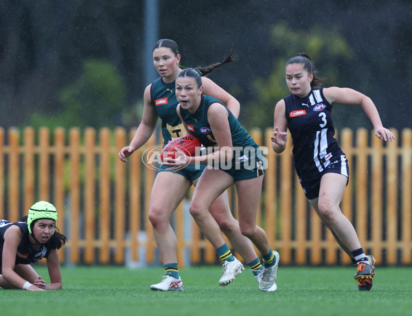 Coates League Girls 2024 - Geelong v Tasmania - A-52215752