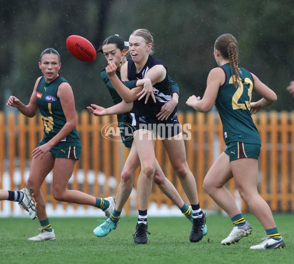 Coates League Girls 2024 - Geelong v Tasmania - A-52215753