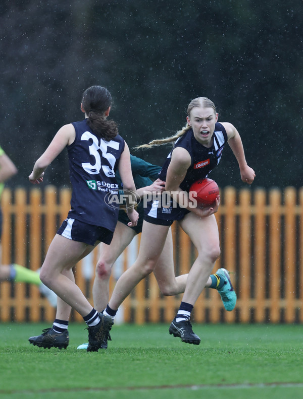 Coates League Girls 2024 - Geelong v Tasmania - A-52215754