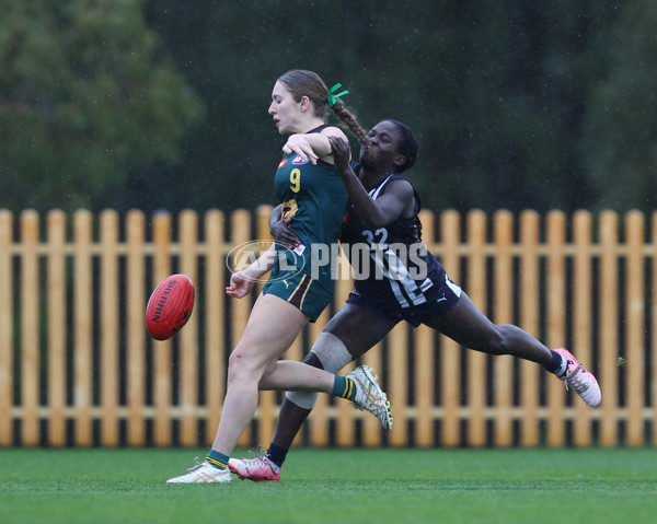 Coates League Girls 2024 - Geelong v Tasmania - A-52215758