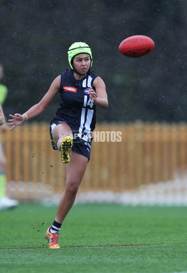 Coates League Girls 2024 - Geelong v Tasmania - A-52215759