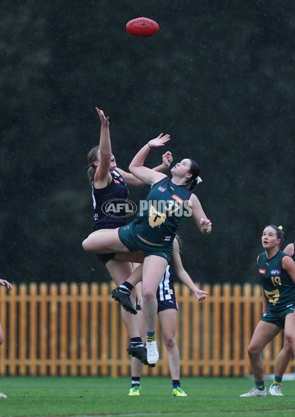 Coates League Girls 2024 - Geelong v Tasmania - A-52215760