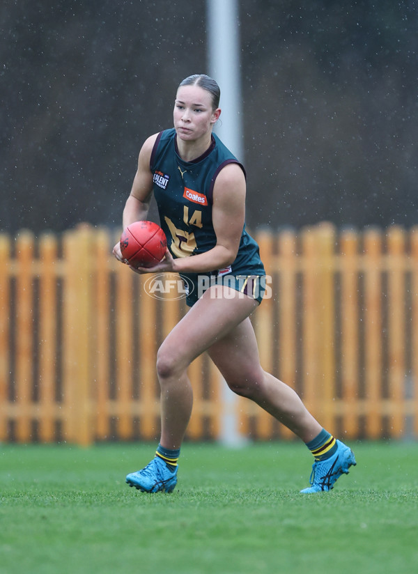 Coates League Girls 2024 - Geelong v Tasmania - A-52218189