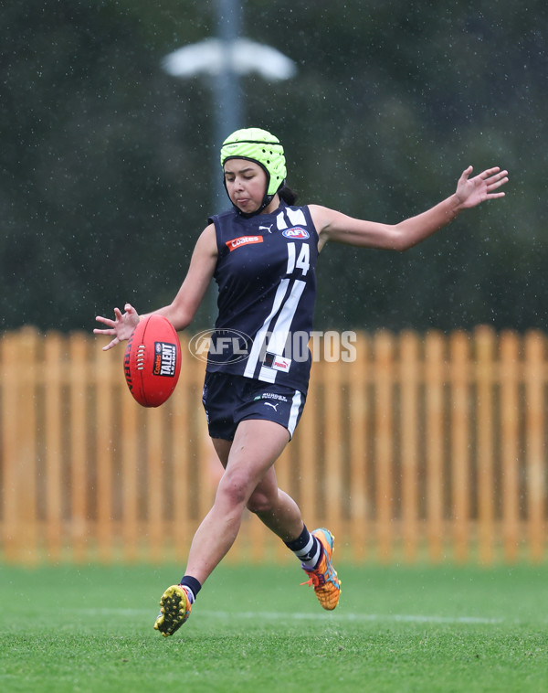 Coates League Girls 2024 - Geelong v Tasmania - A-52218192