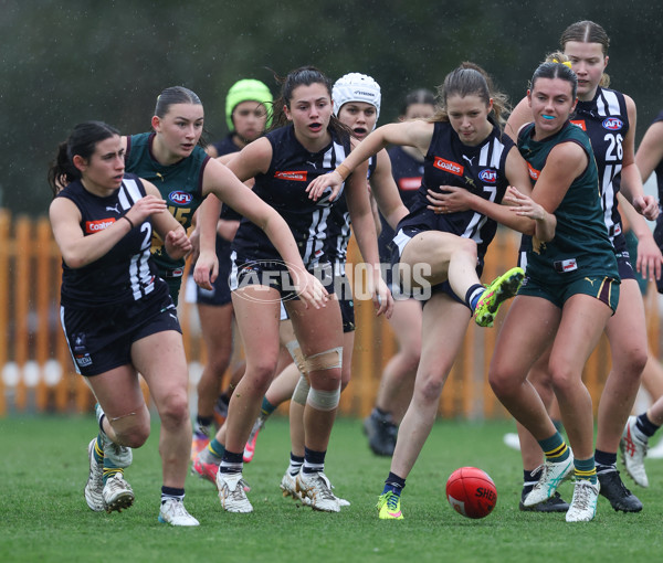 Coates League Girls 2024 - Geelong v Tasmania - A-52220755