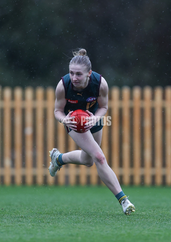 Coates League Girls 2024 - Geelong v Tasmania - A-52220756