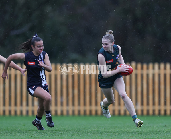 Coates League Girls 2024 - Geelong v Tasmania - A-52220757