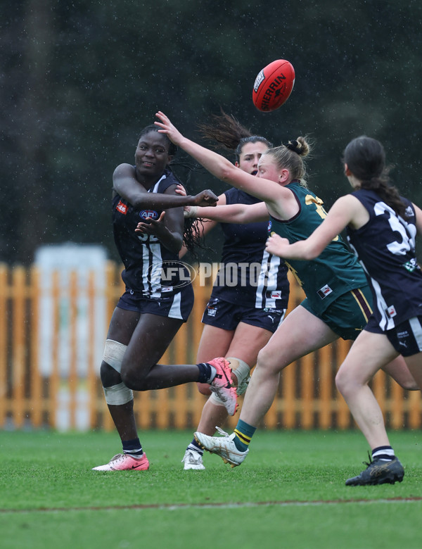 Coates League Girls 2024 - Geelong v Tasmania - A-52220761