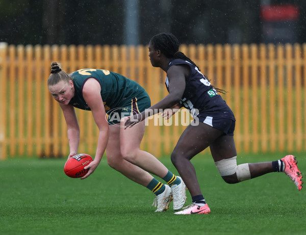 Coates League Girls 2024 - Geelong v Tasmania - A-52223094